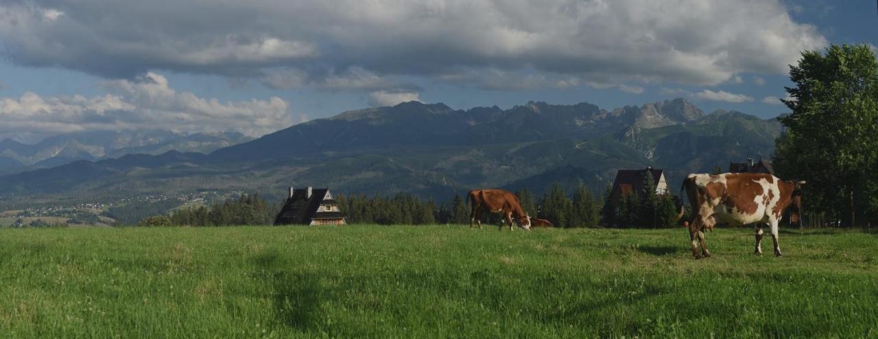 Dom Wczasowy Na Szczycie Zakopane Exterior foto